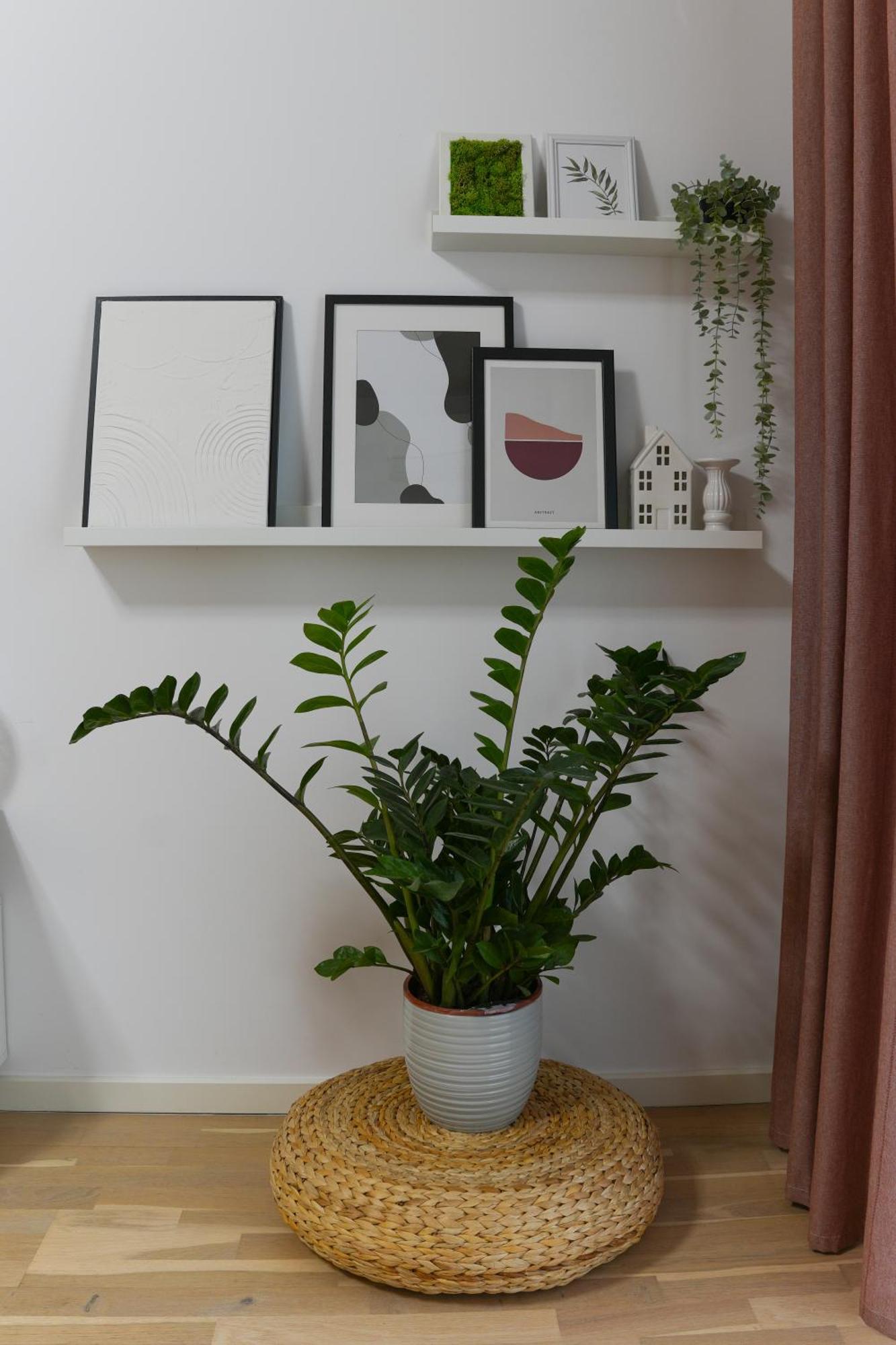 Amalia - Quiet 1Br Apartment With Parking & Wi-Fi Bukareszt Zewnętrze zdjęcie
